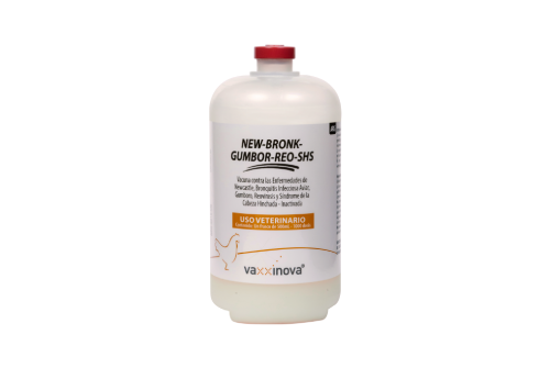 New-Bronk-Gumbor-Reo-SHS
