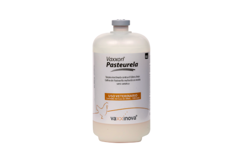 Vaxxon ® Pasteurela