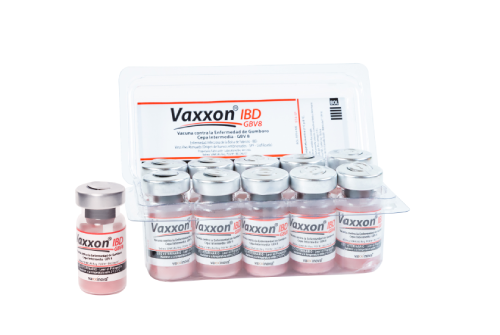 Vaxxon ® IBD GBV8